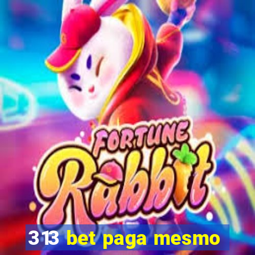 313 bet paga mesmo